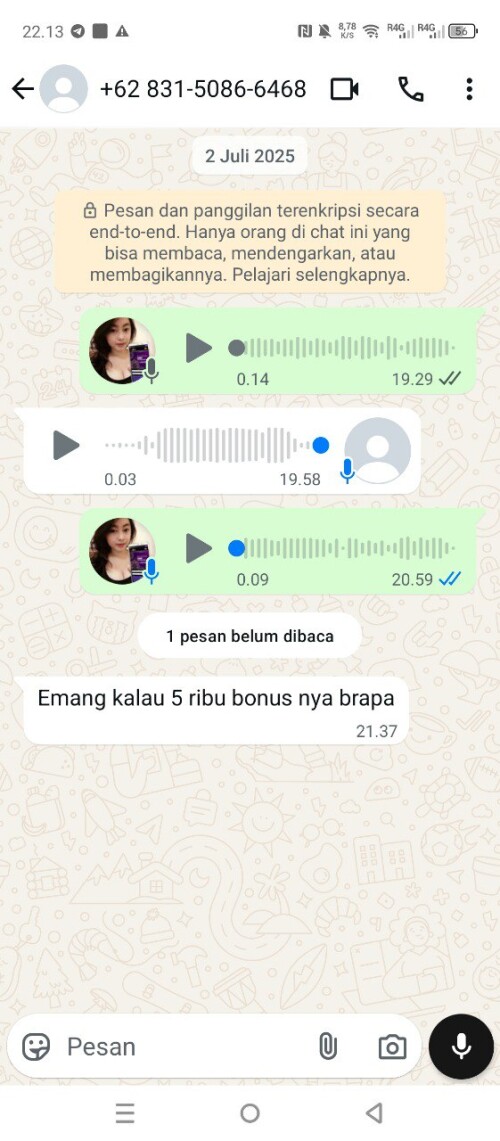 temu1234.jpeg