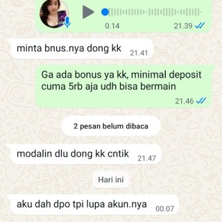 udin528