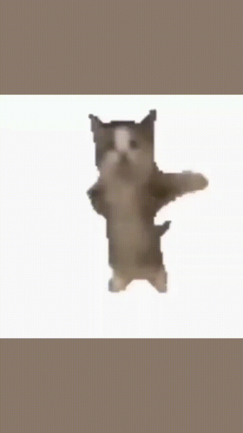 d06b5486522f67631c866770a3ace522.gif